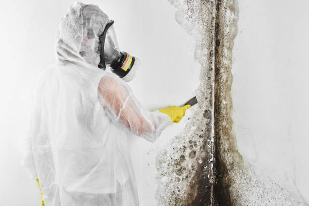 Water Damage Restoration in Zeigler, IL