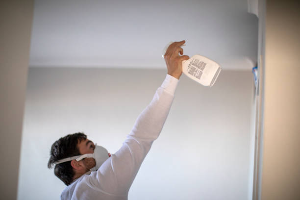 Best Mold Testing  in Zeigler, IL