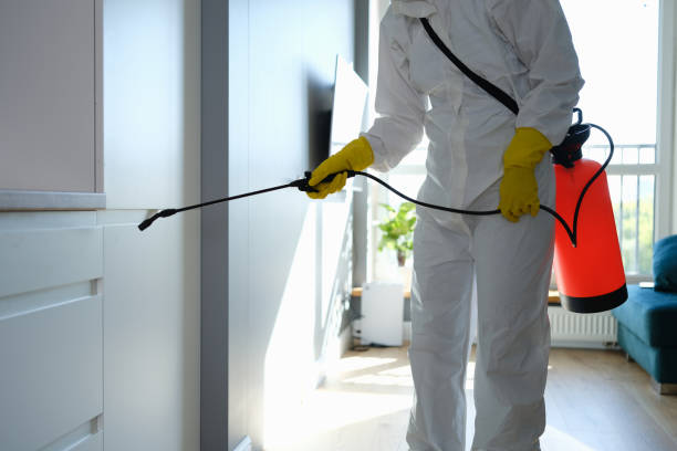 Best Professional Mold Removal  in Zeigler, IL